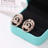 Earrings For Women Earrings Statement Jewelry Party Accessories